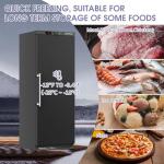 BEYOU 19 Cu. ft. Upright Commercial Freezer