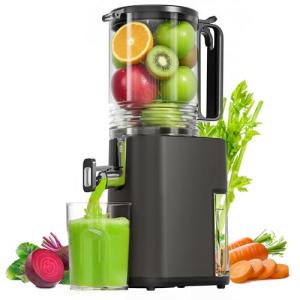 Gray Cold Press Juicer with Wide Feed Chute