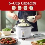 Electric Rice Cooker with Steam Tray and Non-Stick Pot