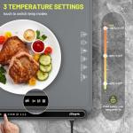 Electric Warming Tray with Temperature Control