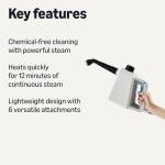 Amazon Basics Handheld Steam Cleaner with 9 Accessories