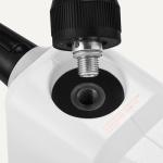 Amazon Basics Handheld Steam Cleaner with 9 Accessories