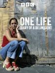 One Life: Delinquent's Chaos Kitchen Appliance