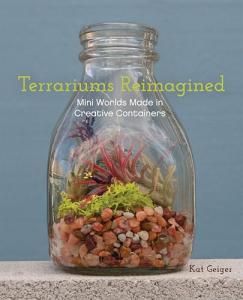 Mini Terrariums: Creative Containers for Indoor Fun