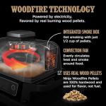 Ninja 7-in-1 Woodfire Grill and Smoker
