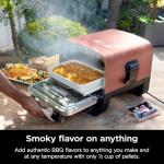 Ninja Woodfire™ 5-in-1 Outdoor Pizza Oven