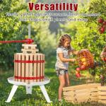 Fruit Wine Press with Wood Basket and Filter Bag