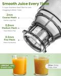 LINKChef Cold Press Juicer for Whole Fruits & Veggies