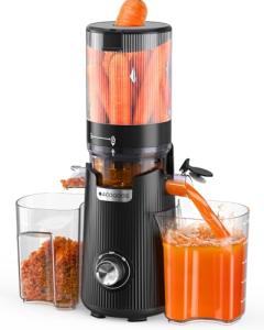 Slow Masticating Cold Press Juicer with Auto Feed