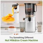 AMZCHEF Slow Masticating Juicer with Large Chute