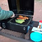 Z GRILLS Portable Tabletop Pellet Grill & Smoker