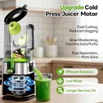 ECOSELF Masticating Juicer with 3 Filters