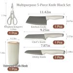 WEISHEHUG 5-Piece White Knife Set with Block