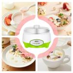 Vegan Milk Kefir Fermentation Kit and Incubator