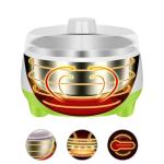 Vegan Milk Kefir Fermentation Kit and Incubator