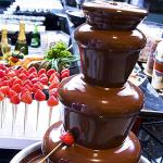 ZEVELOO Electric 4-Tier Chocolate Fondue Fountain