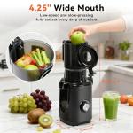 Cold Press Juicer with High Yield and Easy Clean