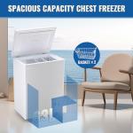 DEMULLER 63L Mini Deep Freezer with Temp Control