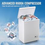 DEMULLER 63L Mini Deep Freezer with Temp Control