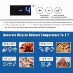 DEMULLER 63L Mini Deep Freezer with Temp Control