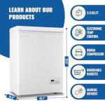 DEMULLER 63L Mini Deep Freezer with Temp Control