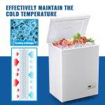 DEMULLER 63L Mini Deep Freezer with Temp Control