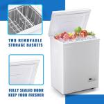 DEMULLER 63L Mini Deep Freezer with Temp Control