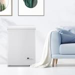 DEMULLER 63L Mini Deep Freezer with Temp Control