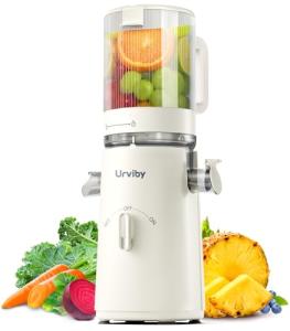 2-in-1 Cold Press Juicer for Juice & Sorbet