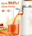 2-in-1 Cold Press Juicer for Juice & Sorbet