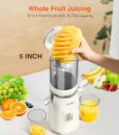 2-in-1 Cold Press Juicer for Juice & Sorbet
