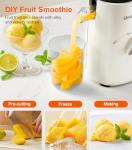 2-in-1 Cold Press Juicer for Juice & Sorbet