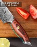 Hinye 8" High Carbon Chef Knife with Redwood Handle