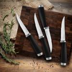 Hampton Forge Epicure 4-Piece Steak Knife Set
