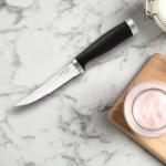 Hampton Forge Epicure 4-Piece Steak Knife Set