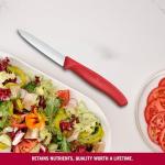 Victorinox Swiss Classic 3.15 Inch Paring Knife