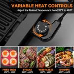 Indoor Electric Griddle and Grill with Removable Plate