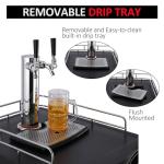 Dual Tap Draft Kegerator with CO2 Tank