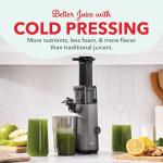 DASH Deluxe Compact Cold Press Slow Juicer