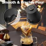 Stariver 0.8L Gooseneck Electric Kettle, Black