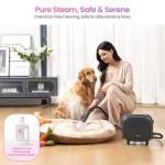 Schenley 21-in-1 High-Pressure Steam Cleaner