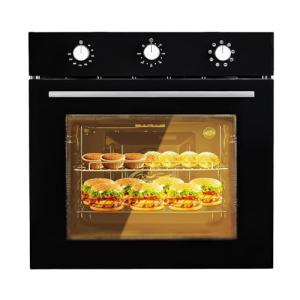 24" Electric Wall Oven with 5 Cooking Functions