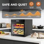 OLIXIS 500W Food Dehydrator with 8 Stainless Steel Trays