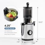 DUMOS Cold Press Juicer with Wide Feed Chute