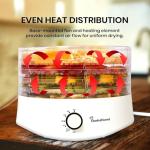 5-Tray Food Dehydrator with Easy Temp Control