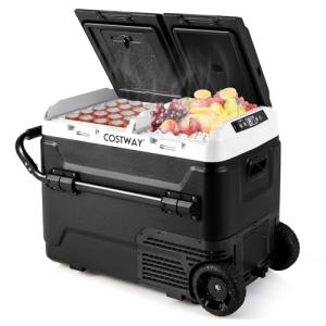 COSTWAY Portable Dual-Temperature Car Refrigerator