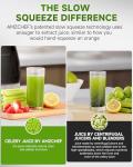 AMZCHEF Cold Press Masticating Juicer for Whole Fruits