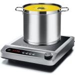 AMZCHEF 1800W Commercial Induction Cooktop Burner