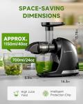 AMZCHEF Cold Press Masticating Juicer for Whole Fruits