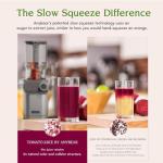 Anybear Cold Press Juicer 200W Masticating Slow Juicer 4.3" Large Feed Chute Fit Whole Fruits Vegetables | Upgraded Auger | Tritan Material | BPA Free | Juice Recipes (Silver)